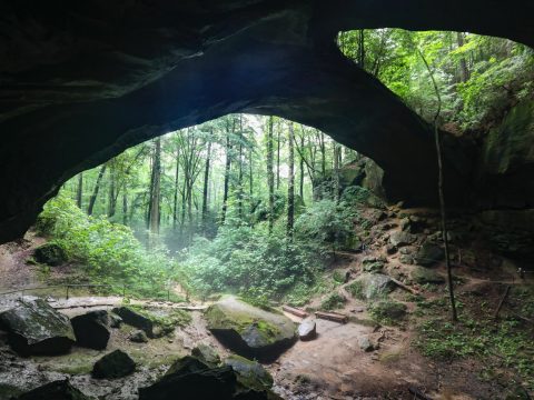 green trees and brown rocks