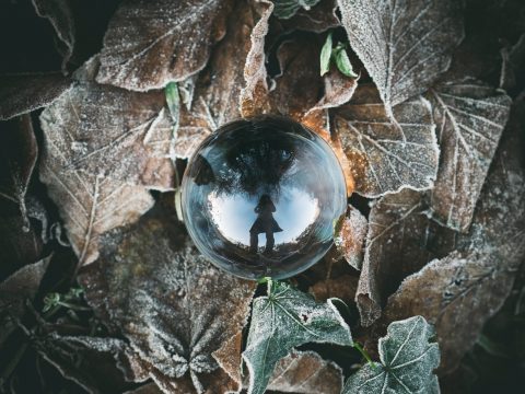 clear crystal ball on leaves