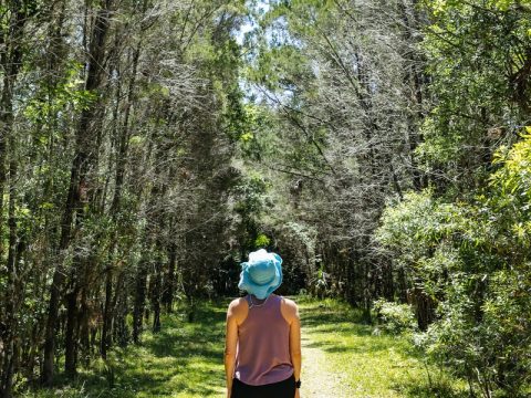 woman in blue shirt and brown skirt standing in the middle of forest during daytime