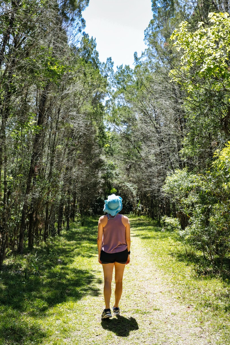 woman in blue shirt and brown skirt standing in the middle of forest during daytime